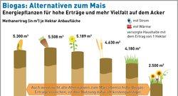 AEE_Biogas_Alternativen_zum_Energiemais_jun13